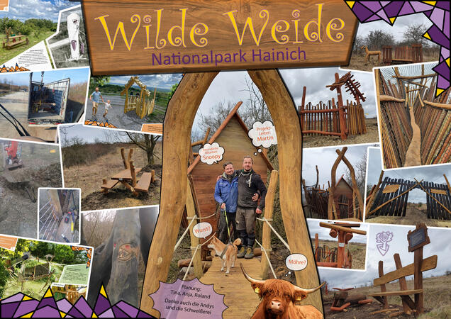 Hainich_Wilde_weide